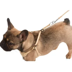 Kerbl Puppy Harnas met Lijn Beige