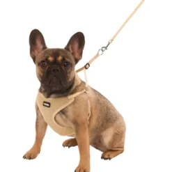 Kerbl Puppy Harnas met Lijn Beige