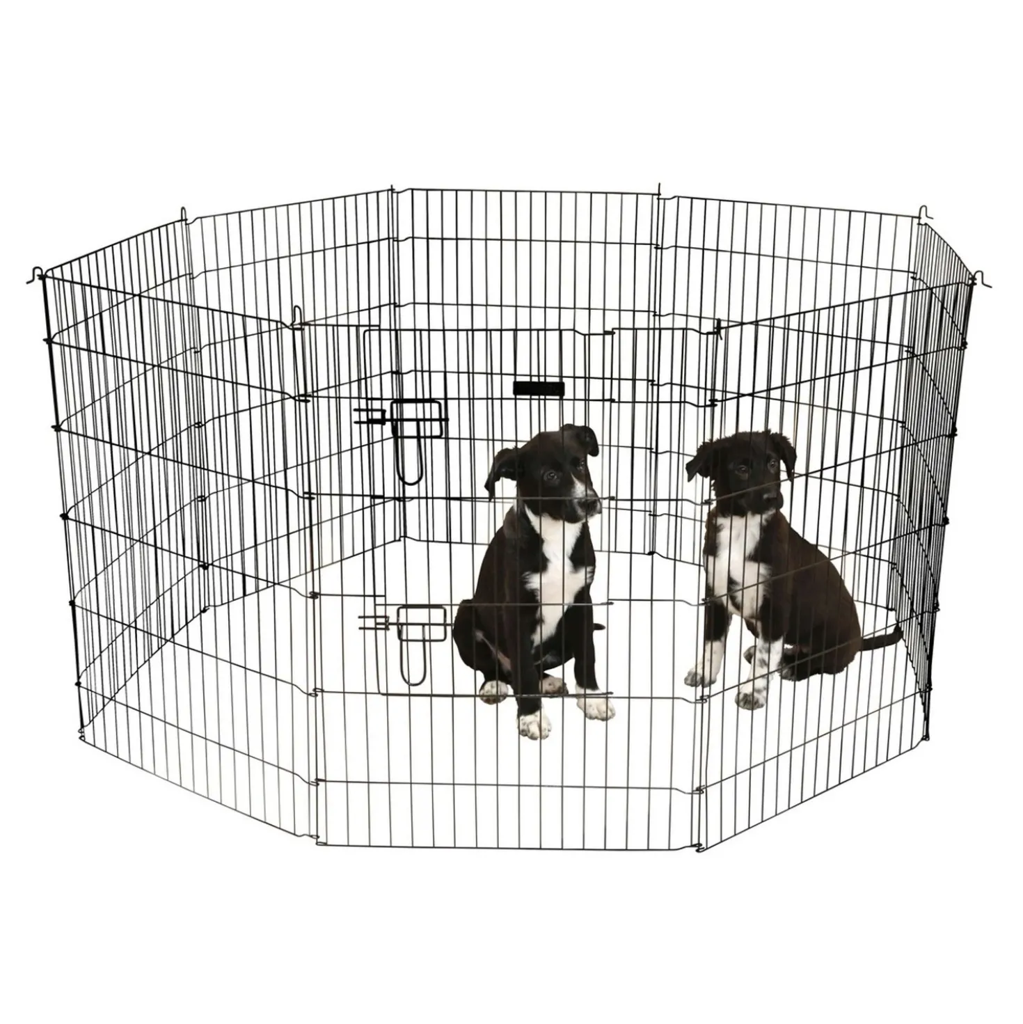 Kerbl Puppyren