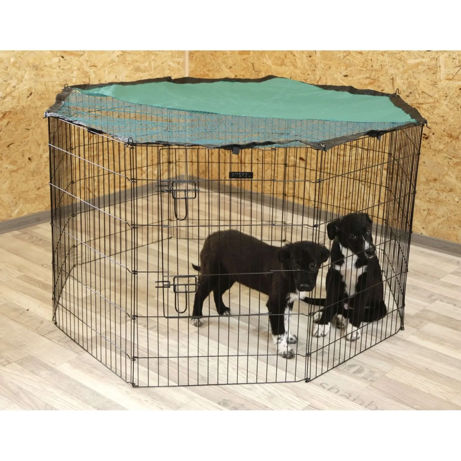 Kerbl Puppyren