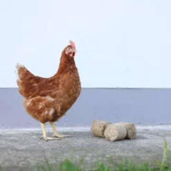 Kerbl Spelt Blokken voor Kippen