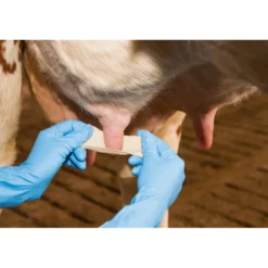 Kerbl Udderosoft Speen Bandage