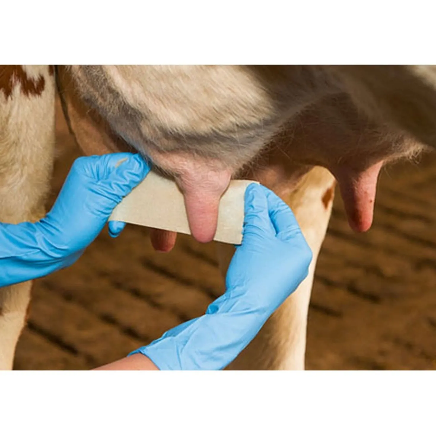 Kerbl Udderosoft Speen Bandage