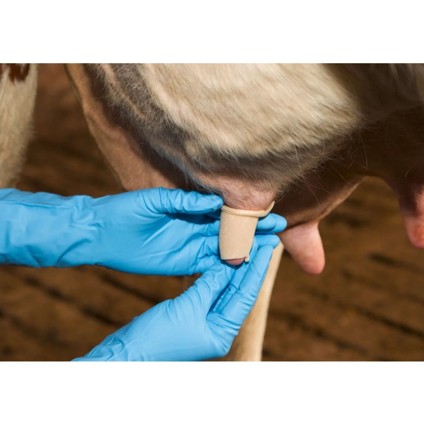 Kerbl Udderosoft Speen Bandage