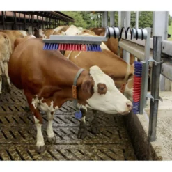 Kerbl Veeborstel Euro-farm Compleet