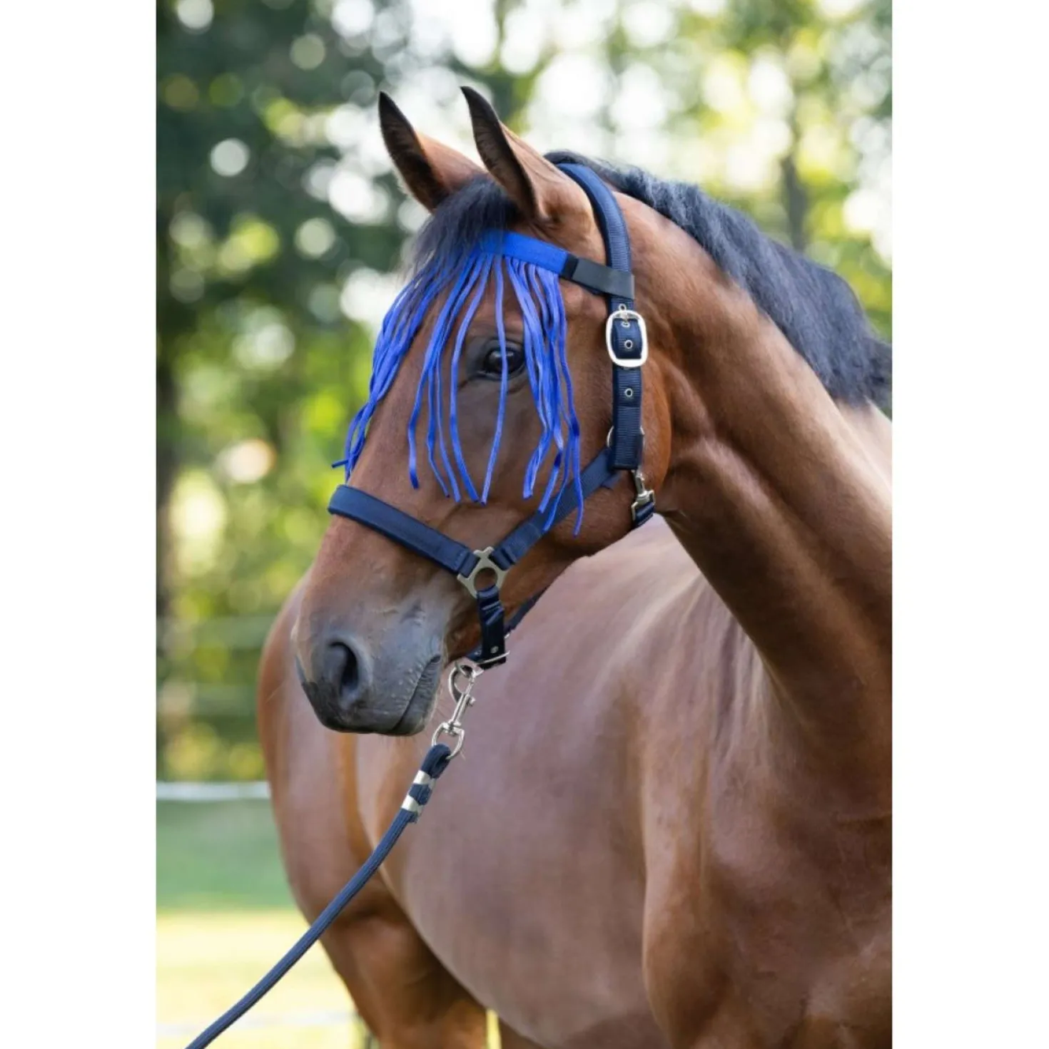 Kerbl Vliegenfrontriem Blauw