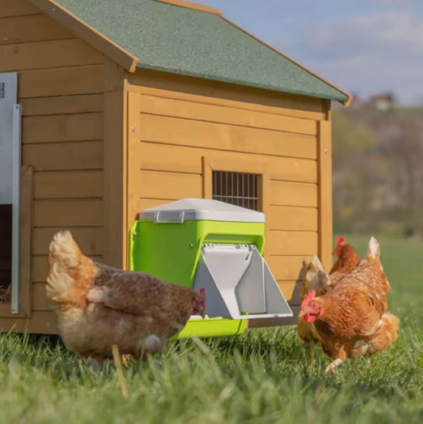 Kerbl Voederautomaat met Beschermklep Groen