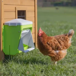 Kerbl Voederautomaat met Beschermklep Groen