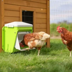Kerbl Voederautomaat met Beschermklep Groen
