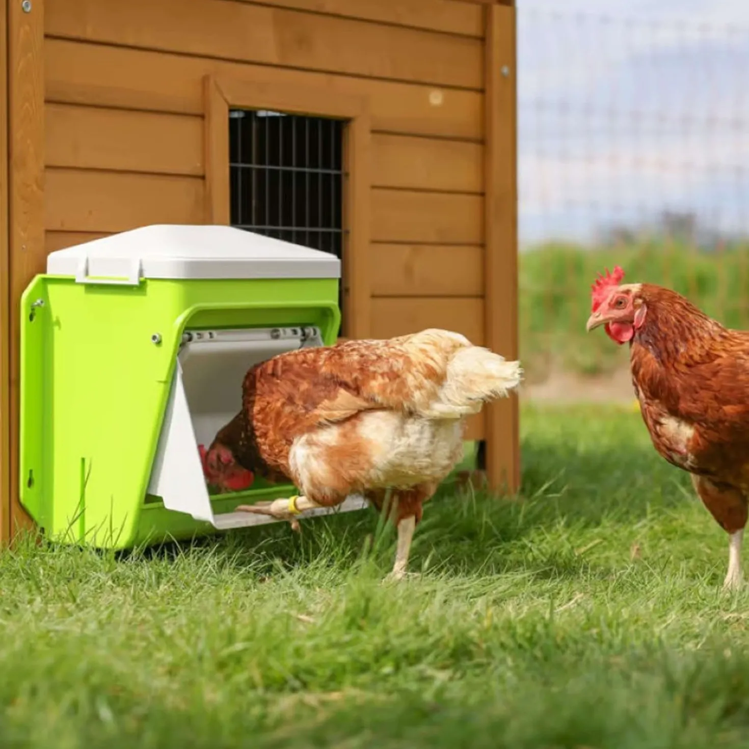 Kerbl Voederautomaat met Beschermklep Groen