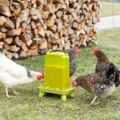 Kerbl Voederautomaat op Voet Groen