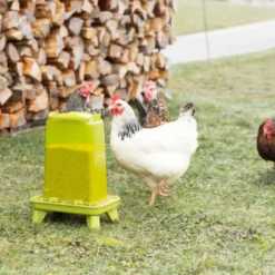 Kerbl Voederautomaat op Voet Groen