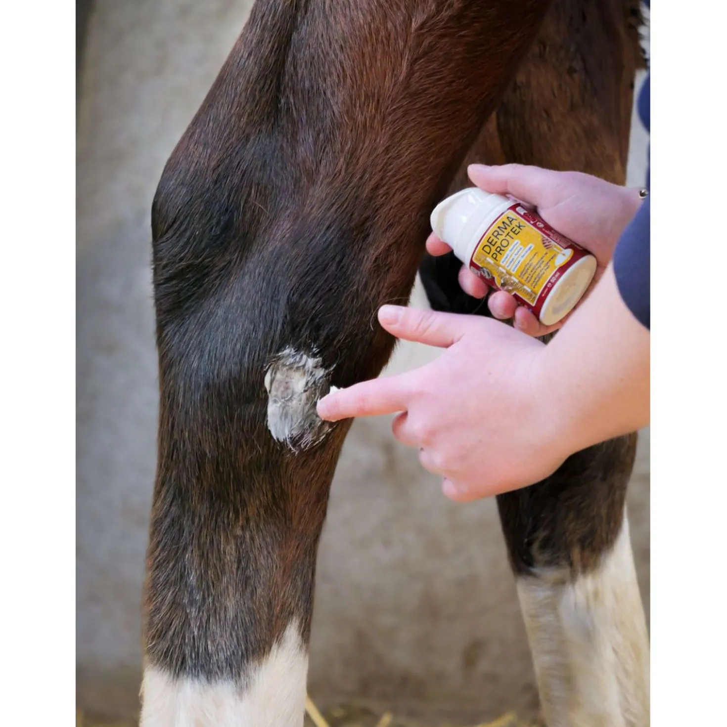 Kevin Bacon's Derma Protek