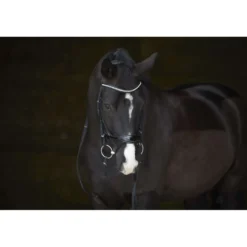 Kieffer Hoofdstel Amy Shine Zwart