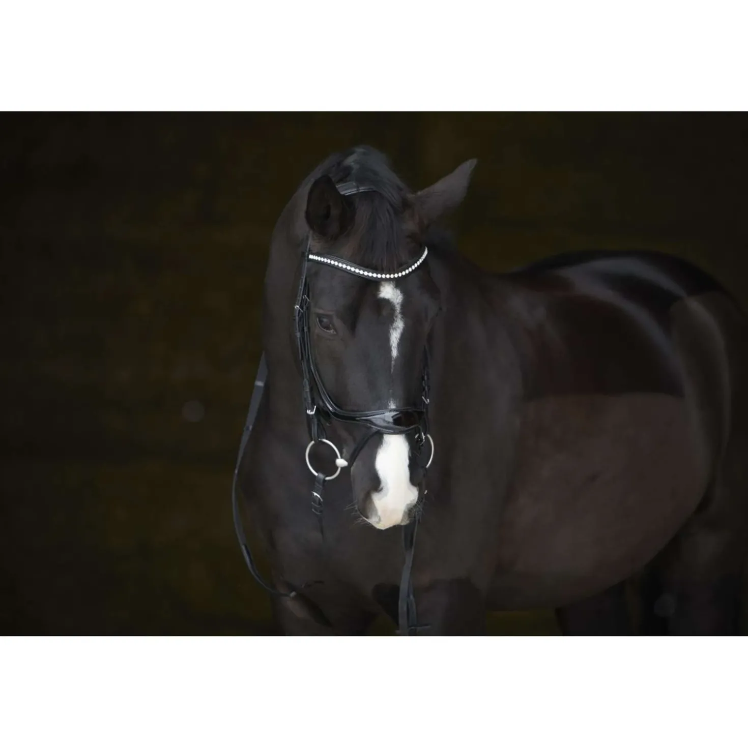 Kieffer Hoofdstel Amy Shine Zwart