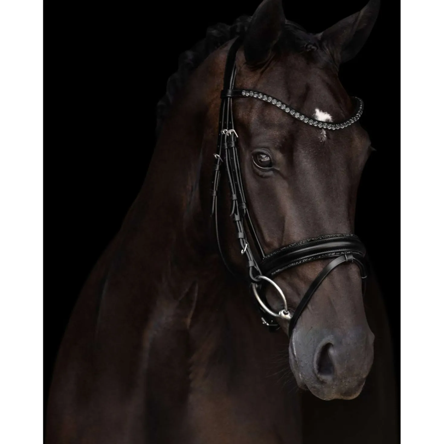 Kieffer Hoofdstel Grace Zwart