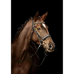 Kieffer hoofdstel Ultrasoft Sue Met Kristallen Bruin/Lichtgrijs