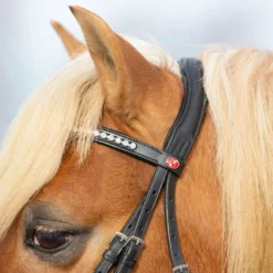 Kieffer Hoofdstel Ultrasoft Haflinger Zwart/Witte steentjes