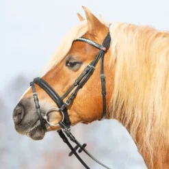 Kieffer Hoofdstel Ultrasoft Haflinger Zwart/Witte steentjes