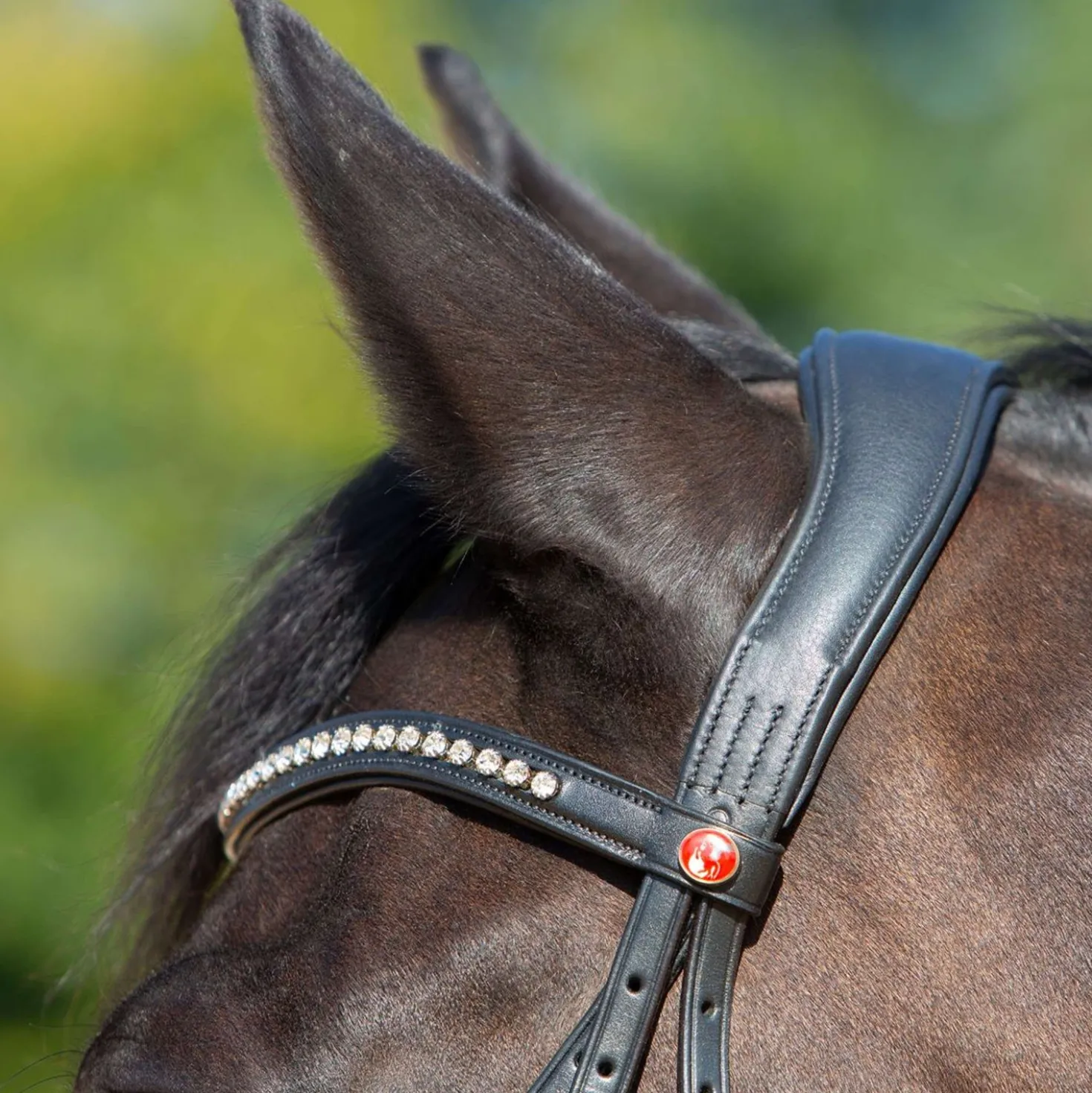 Kieffer hoofdstel Ultrasoft Sue Met Kristallen Zwart/Wit