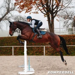 Komperdell Rugprotector Flexfit Slim Zwart/Bordeaux