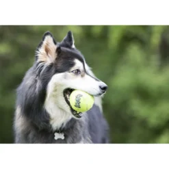 KONG Air Squaker Tennisbal Geel 3st Geel