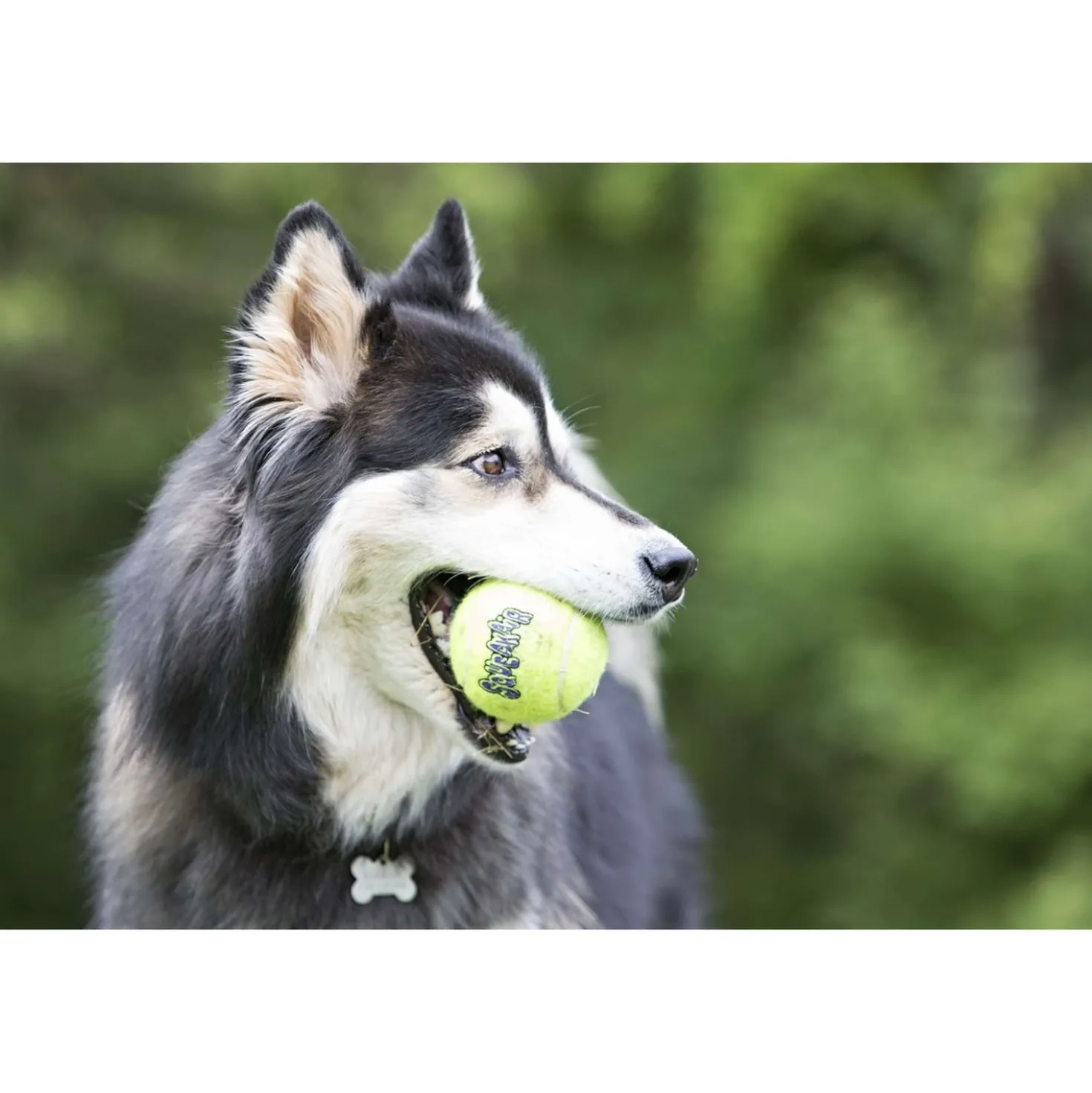 KONG Air Squaker Tennisbal Geel 3st Geel