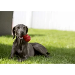KONG Classic Rood