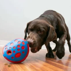 KONG Hondenspeelgoed Rewards Wally