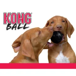 KONG X-treme Rubber Bal Zwart