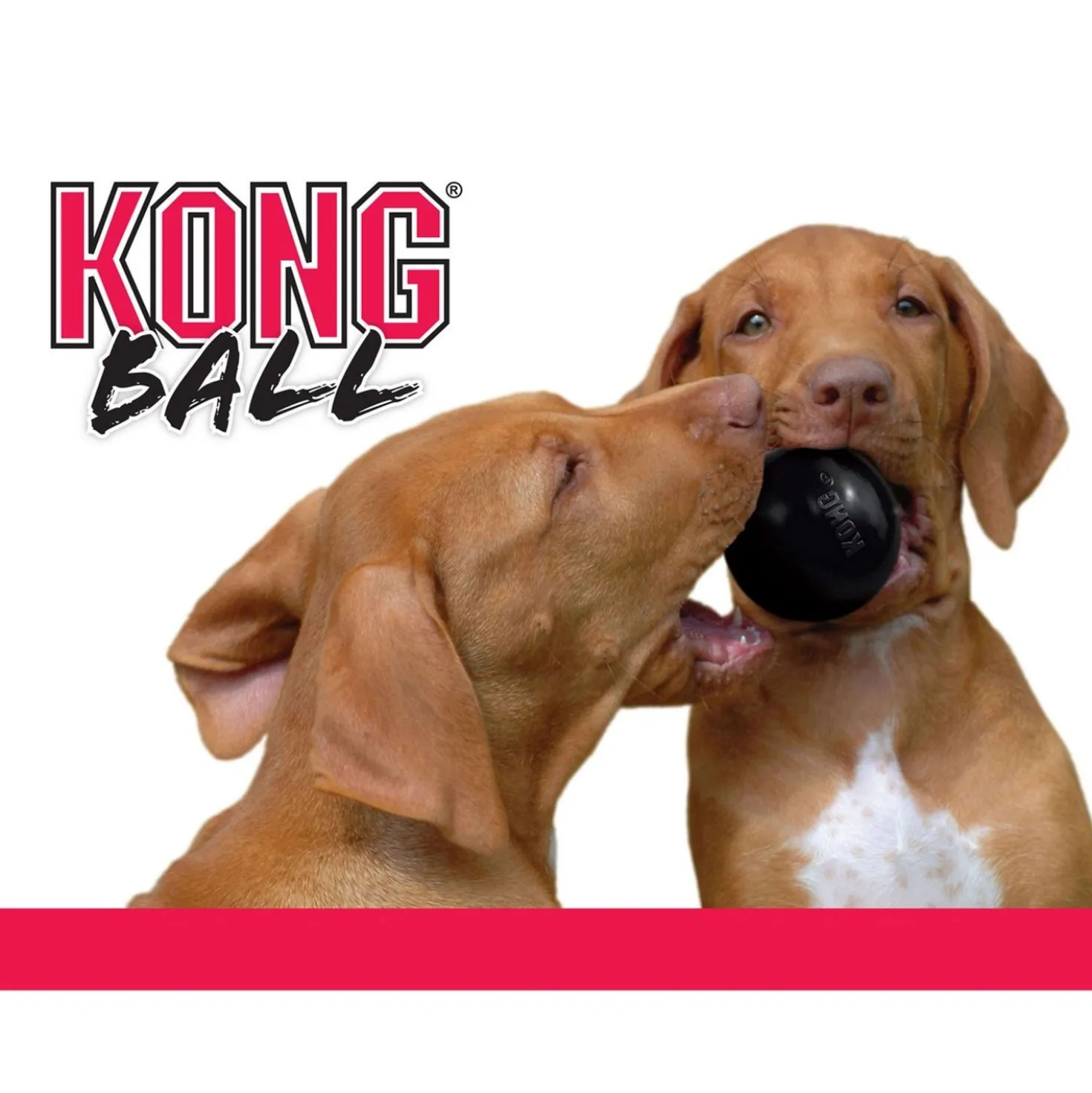 KONG X-treme Rubber Bal Zwart
