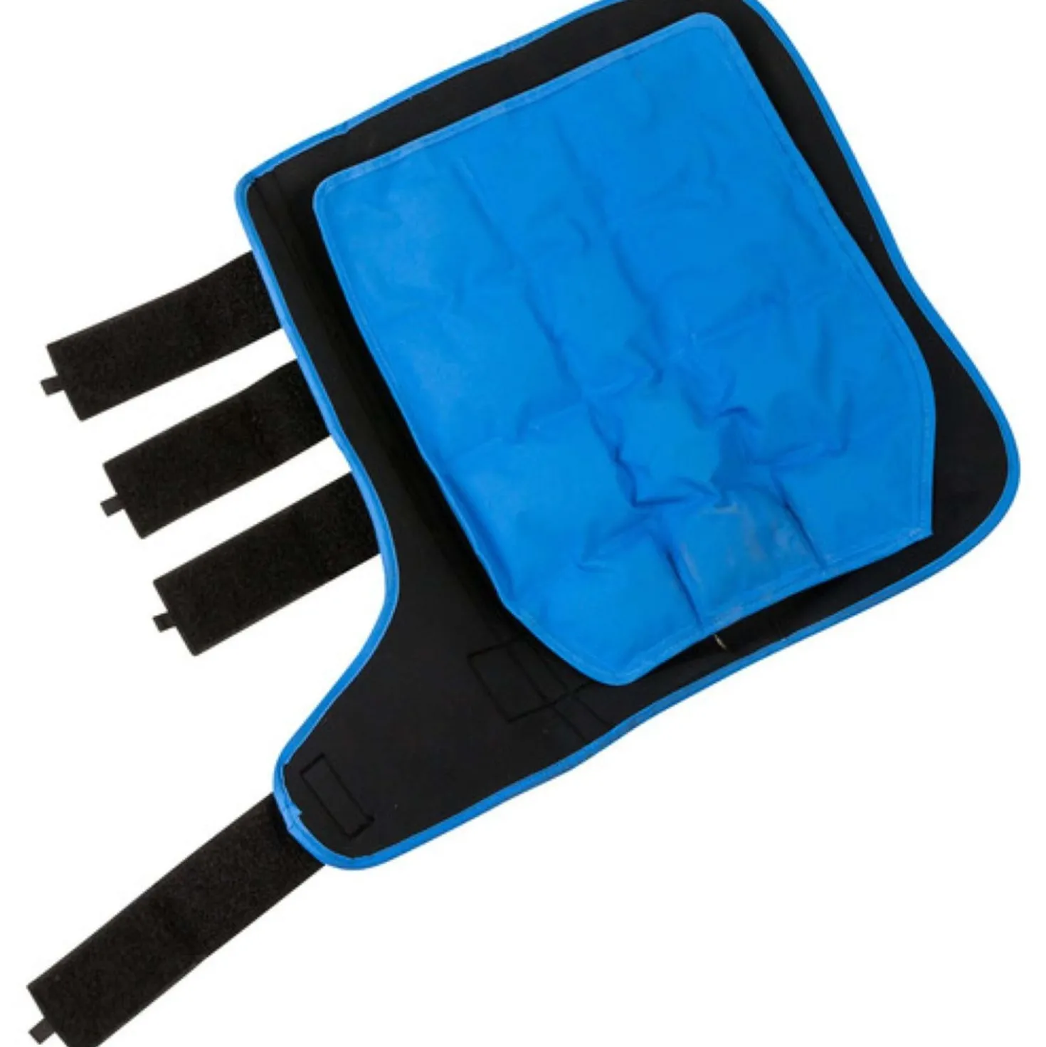 Lami-Cell Ice Boots Zwart/Blauw
