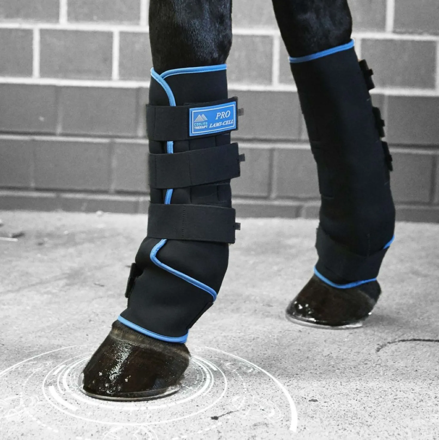 Lami-Cell Ice Boots Zwart/Blauw