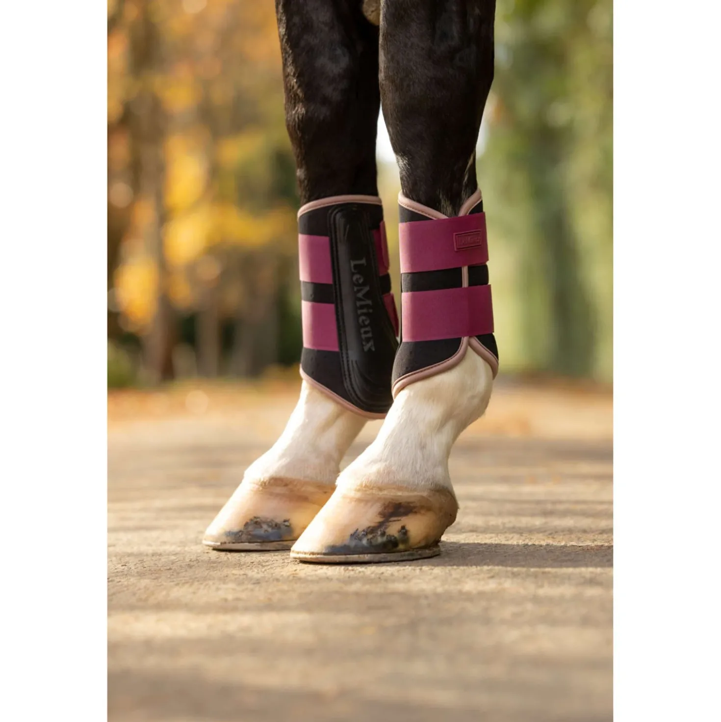 LeMieux Beenbeschermers Air-Tek Grafter Blackberry