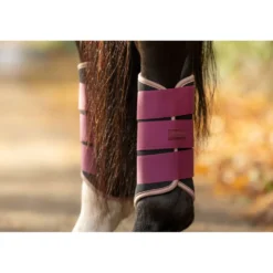 LeMieux Beenbeschermers Air-Tek Grafter Blackberry