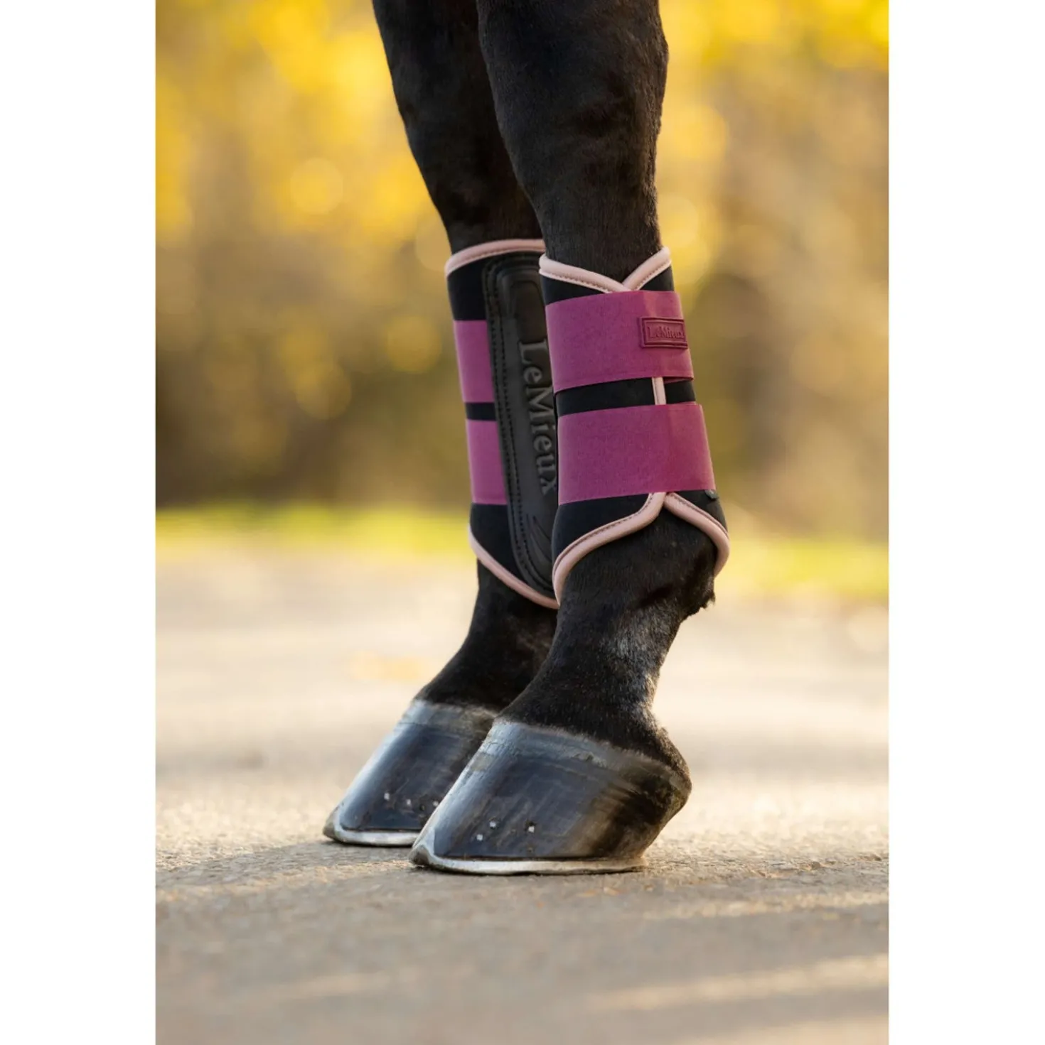 LeMieux Beenbeschermers Air-Tek Grafter Blackberry