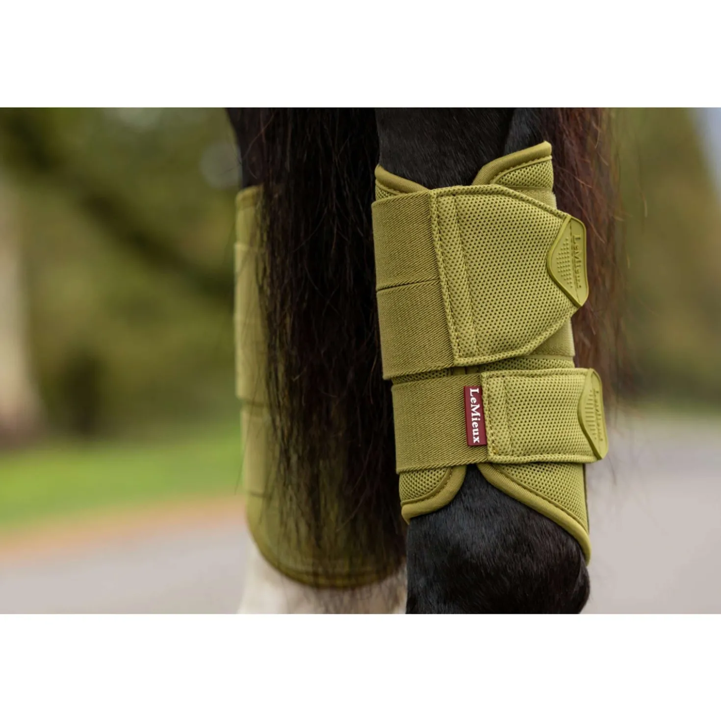 LeMieux Beenbeschermers Arika Mesh Gooseberry