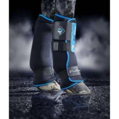 LeMieux Beenbeschermers Freeze Therapy Zwart