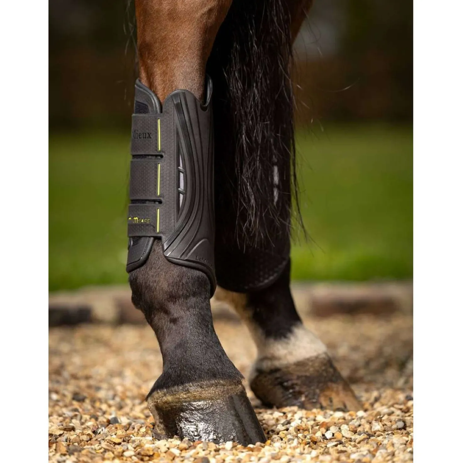 LeMieux Beenbeschermers MIMsafe XC Hind Zwart