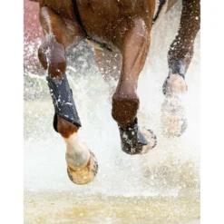 LeMieux Beenbeschermers MIMsafe XC Front Zwart