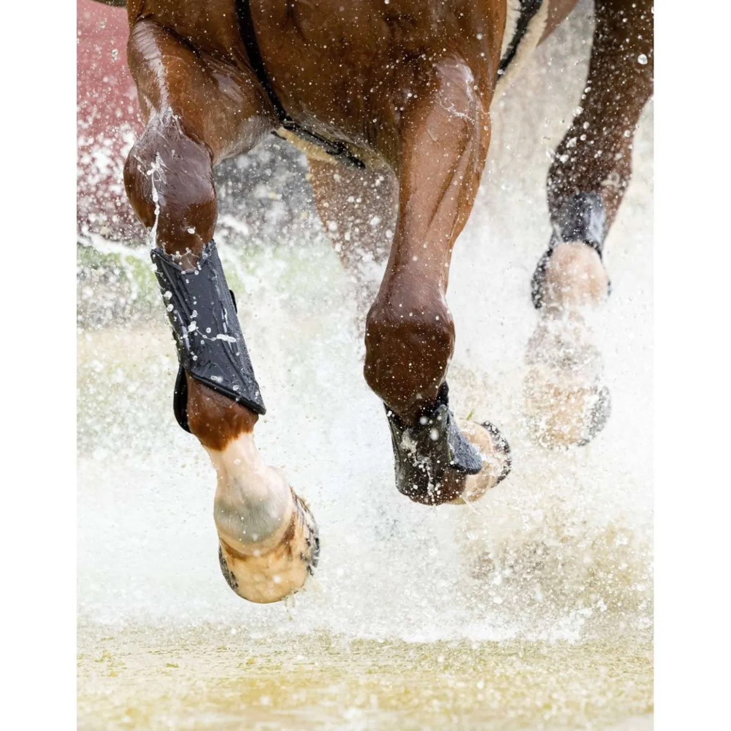 LeMieux Beenbeschermers MIMsafe XC Front Zwart