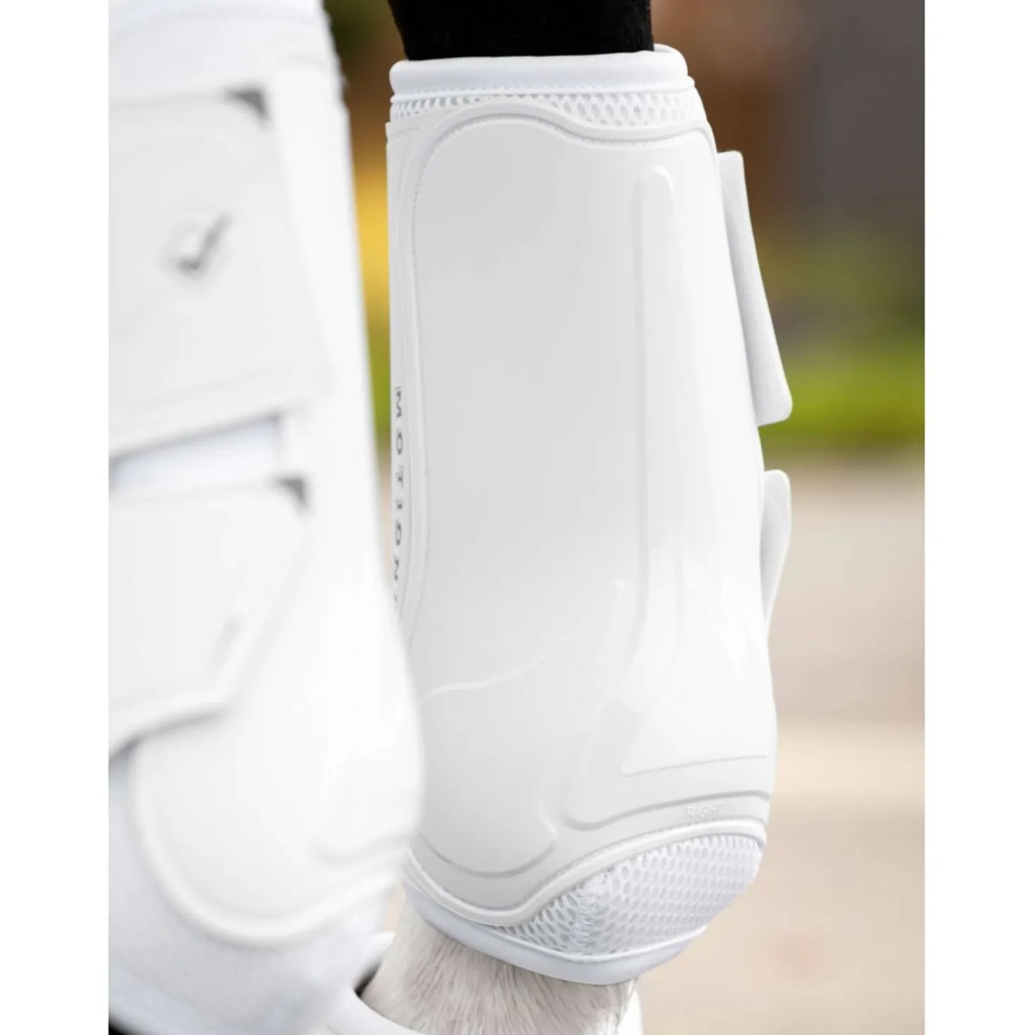 LeMieux Beenbeschermers Motionflex Wit