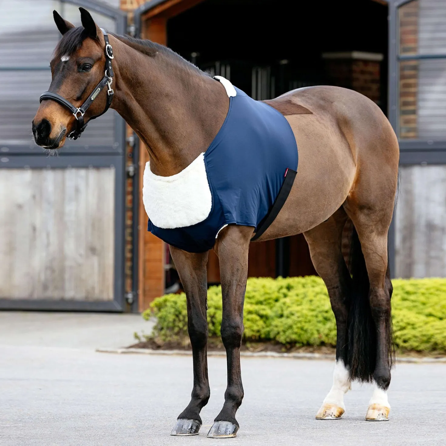 LeMieux Borstbeschermer Soft Anti-Rubbing Navy