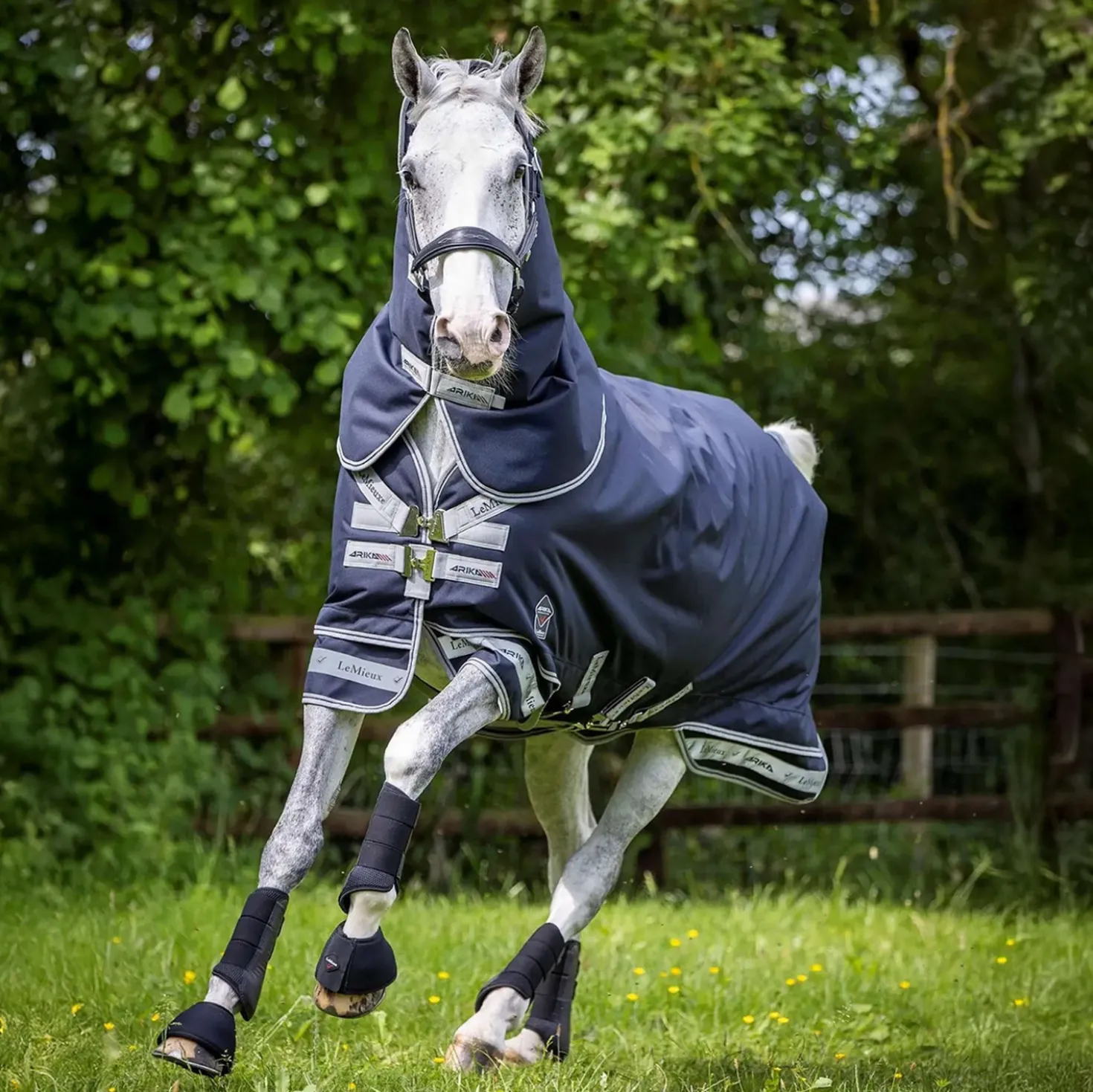 LeMieux Deken Arika Storm-Tek Turnout 200g Navy