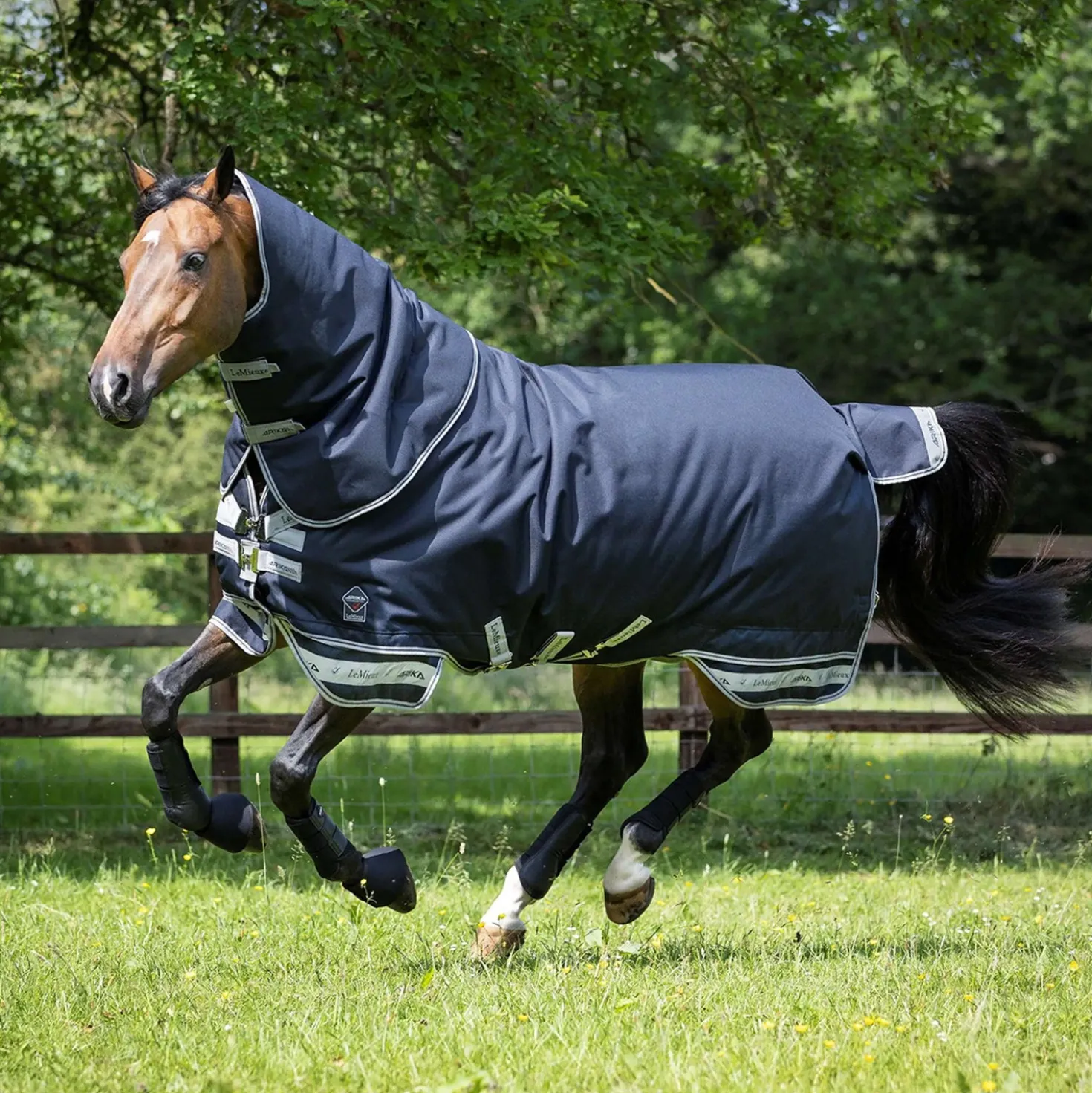 LeMieux Deken Arika Storm-Tek Turnout 100g Navy