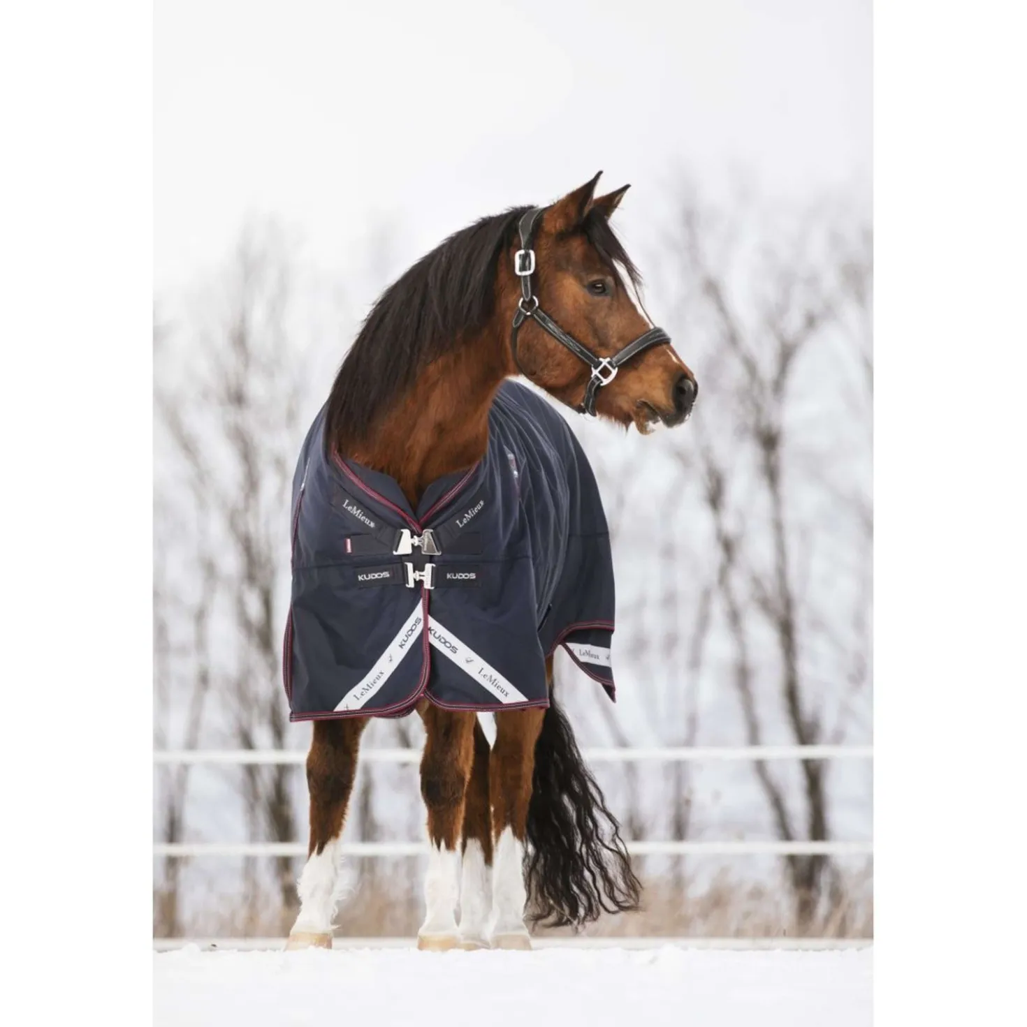 LeMieux Deken Kudos Turnout 350g Navy