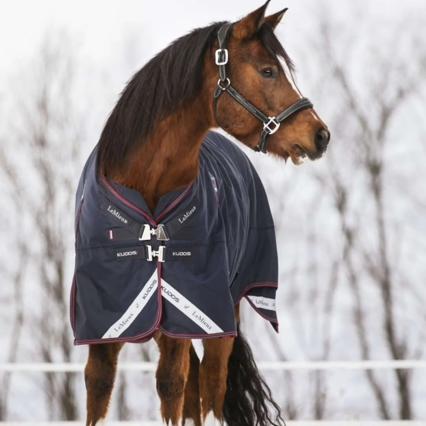 LeMieux Deken Kudos Turnout 50g Navy