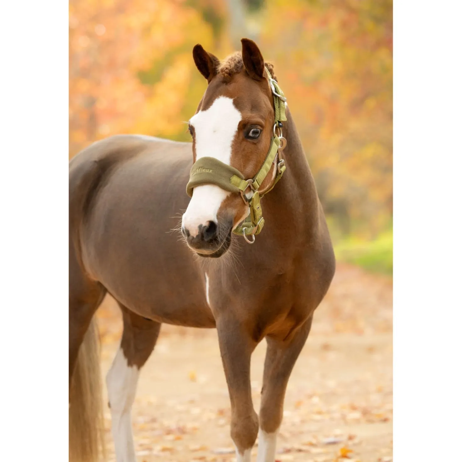 LeMieux Halsterset Vogue Gooseberry