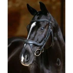 LeMieux Hoofdstel Arika Split Noseband Zwart