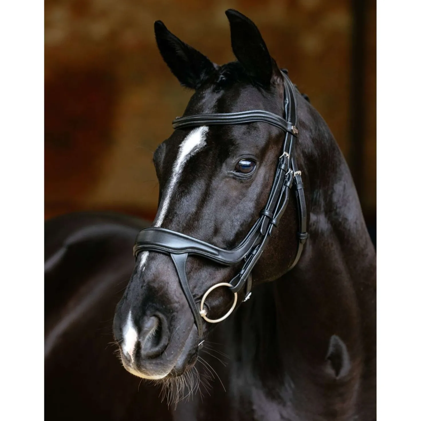 LeMieux Hoofdstel Arika Split Noseband Zwart